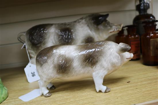 Two Continental porcelain models of standing boars, 35.5cm and 21.5cm long